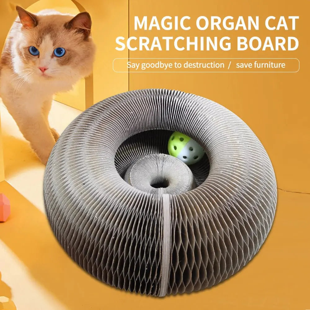 Magic Foldable Cat Scratch Board Toy