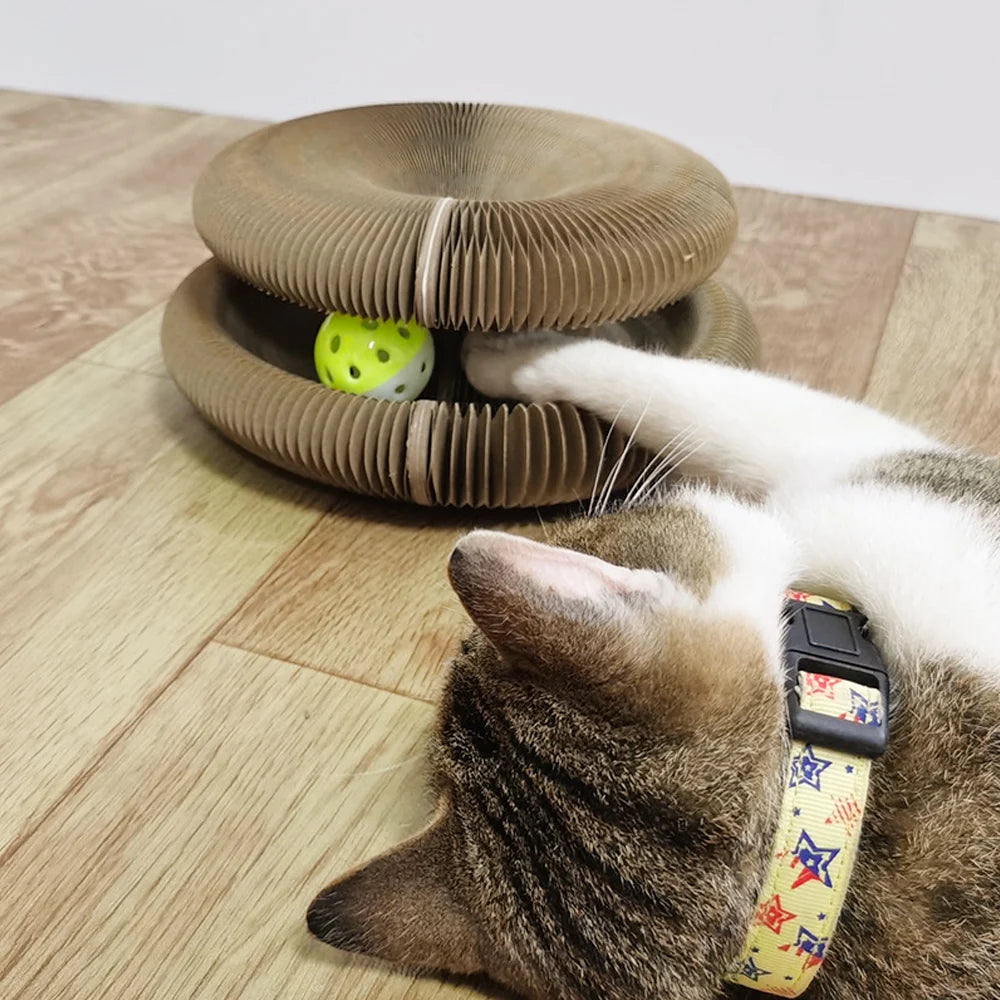 Magic Foldable Cat Scratch Board Toy