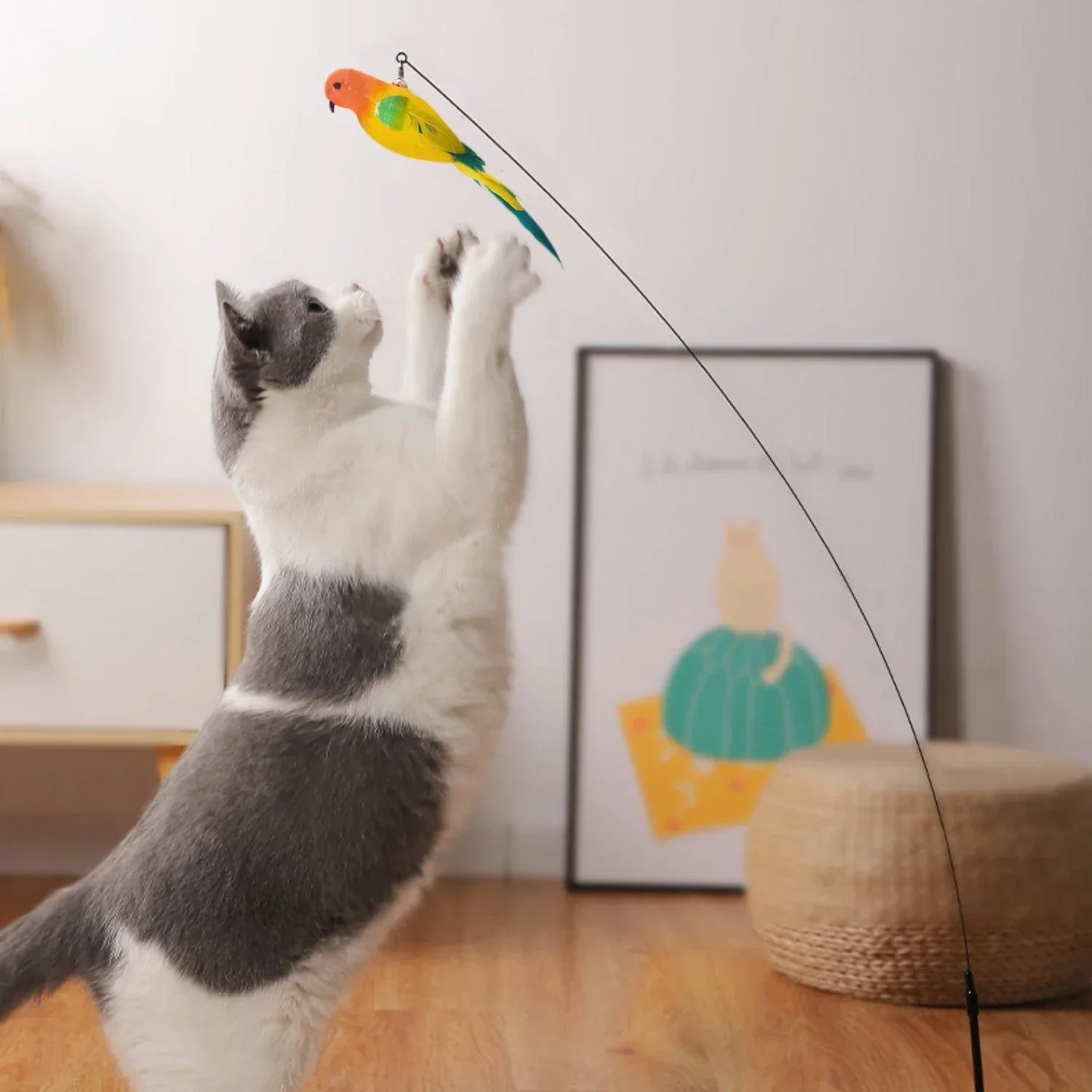 Interactive Cat Toy, Bird Feather with Bell